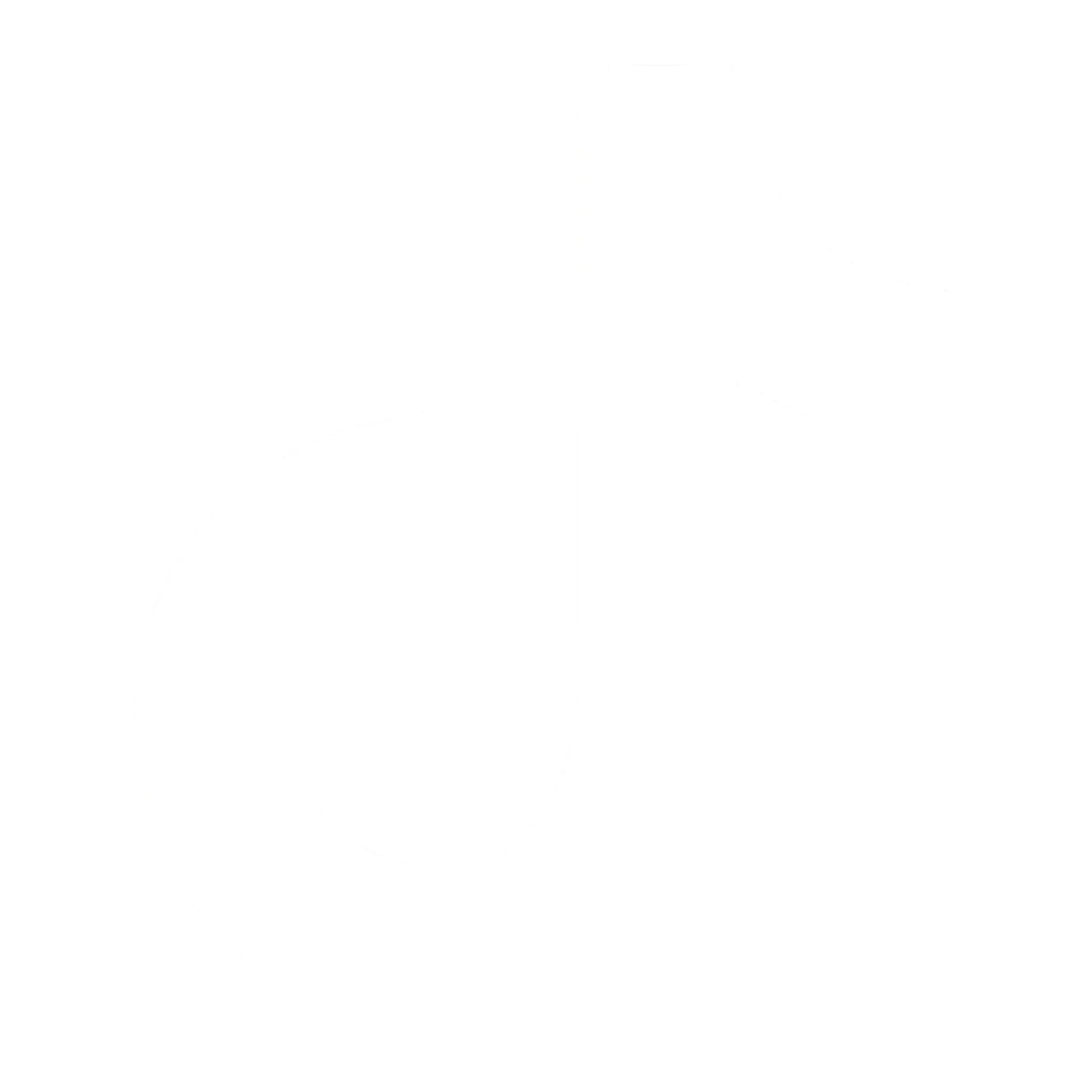 tiktok logo