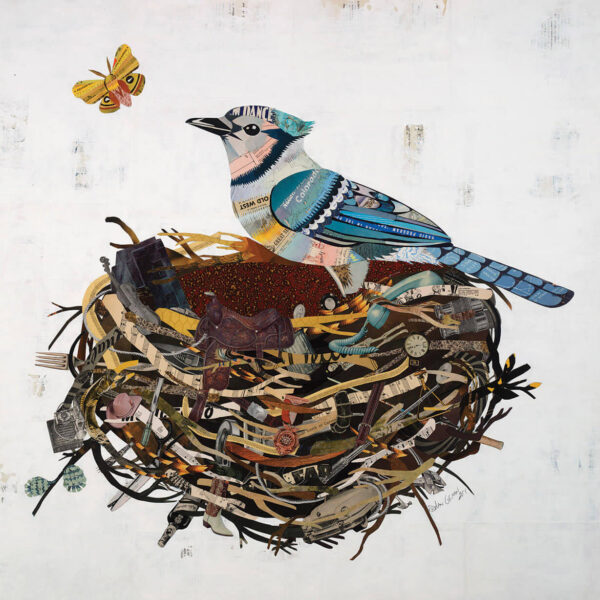 Mixed media collage artwork of a blue jay in a nest and a butterfly flying above
