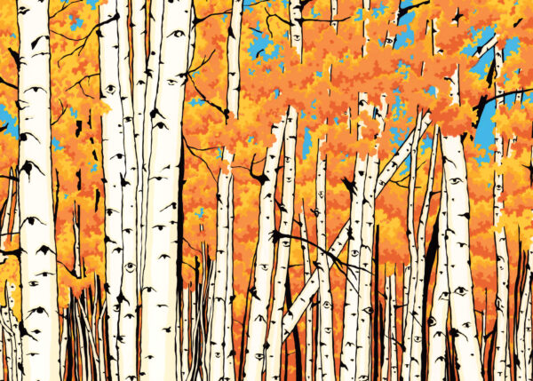 Fall aspens with orange leaves small amount of blue sky peeking through trees