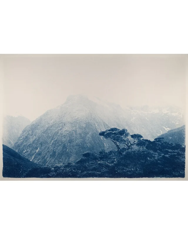 Here are five more of the artists who will exhibit their work at the Cherry Creek Arts Festival for the first time this July:

D Dimant
Cora Carroll, @mountainmaidencompany
Derrick Crossland
Robert Chozick, @paducahskies
Bob Bruu, @bob_bruu_wood_carver 

We’re excited to meet these artists and hear from them about their work! 🍒🎨❤️

#cherrycreek #artsfestival